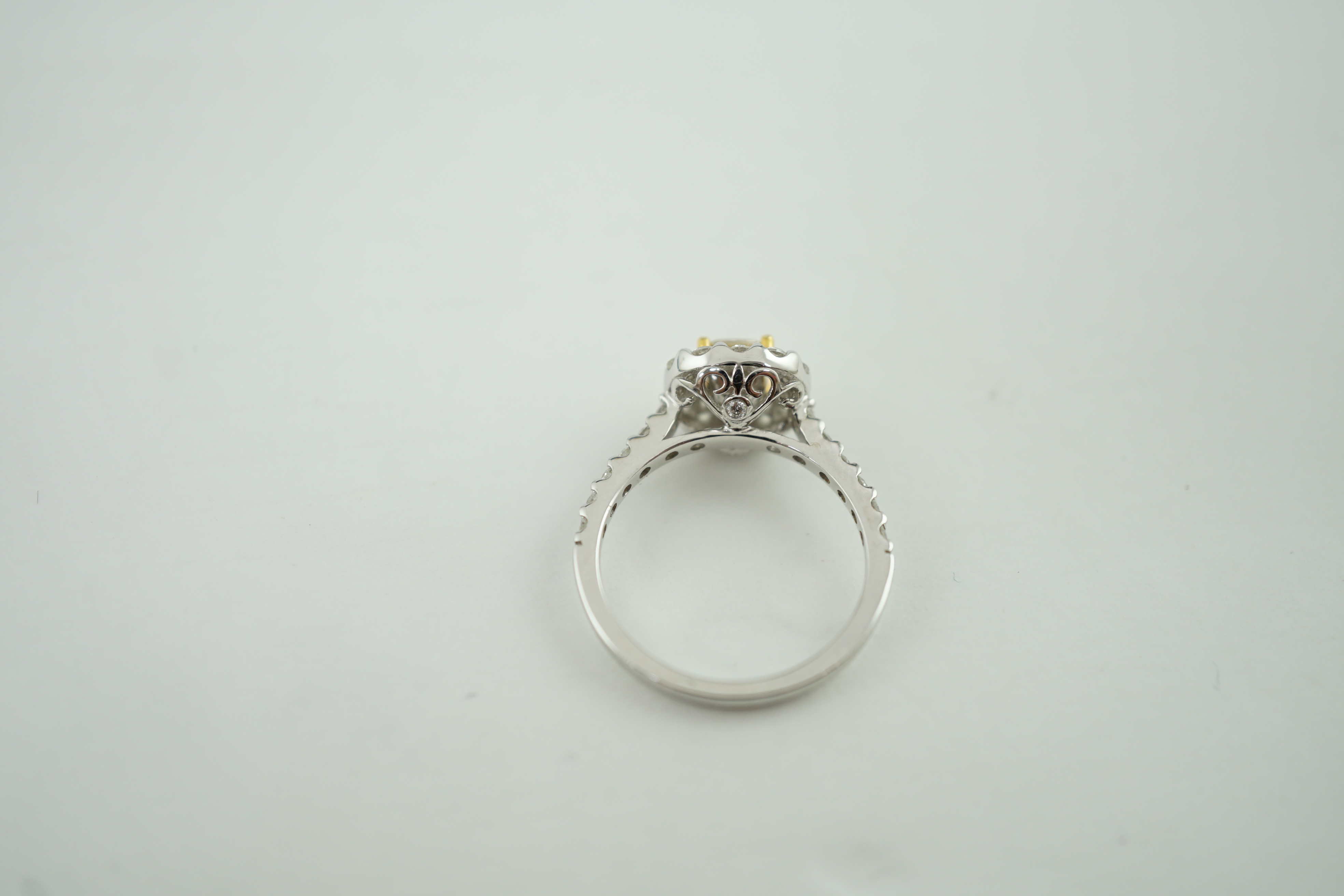 A modern 18ct white gold and two colour diamond cluster set dress ring